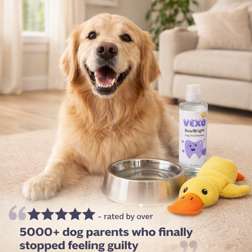 Vexo™ BowlBright Dog Oral Solution