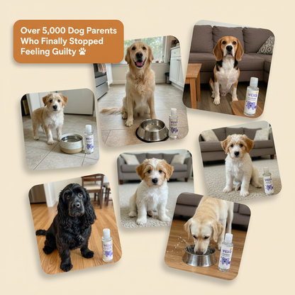 Vexo™ BowlBright Dog Oral Solution